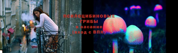 прущая мука Вяземский