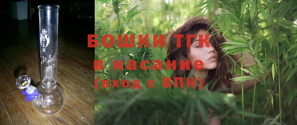 прущая мука Вяземский